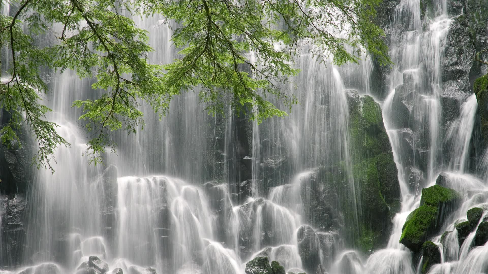 世界登山青年导师生态修复项目优秀案例入选名单，国际登山联合会